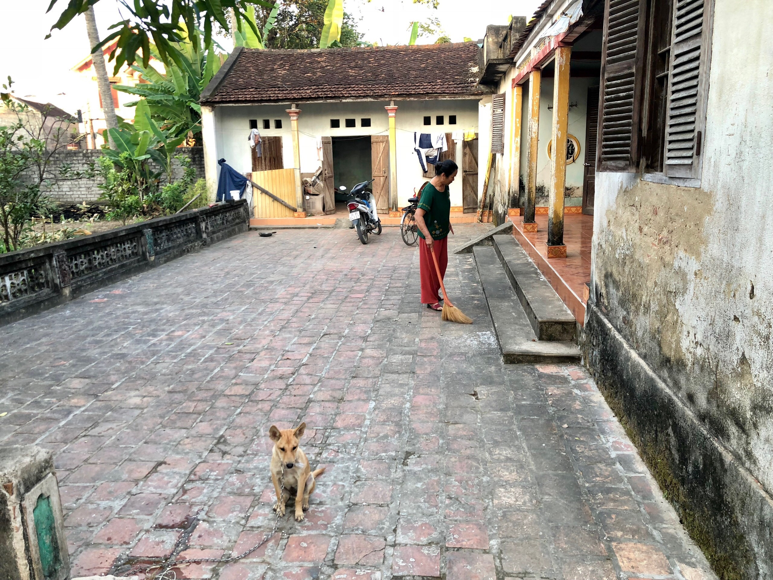 Ai về thăm mẹ quê choa