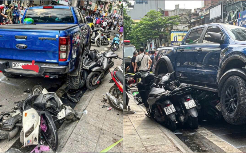 Con hổ vồ