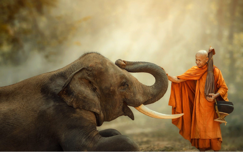 Trời cho tất cả, rồi trời lại lấy đi tất cả nếu sống không hợp ý trời